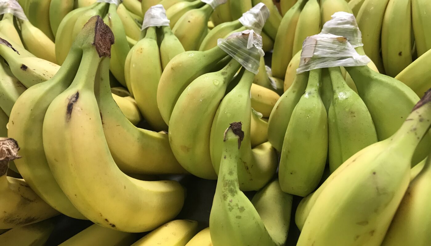 Bananes bio Occitanie