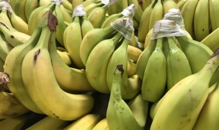 Bananes bio Occitanie