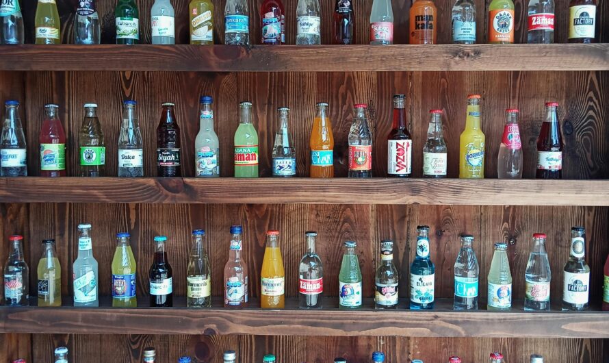 Kombucha Mania entre tradition fermentée et conquête industrielle