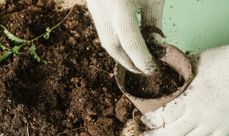 Jardinage durable : les bonnes pratiques pour un espace vert respectueux